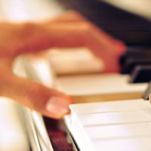 视频版下载免费黄网
