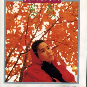 视频版下载免费黄网
