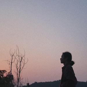 视频版下载免费黄网
