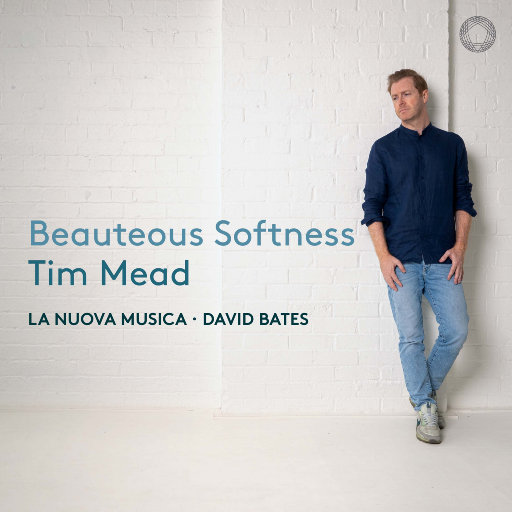 视频版下载免费黄网
